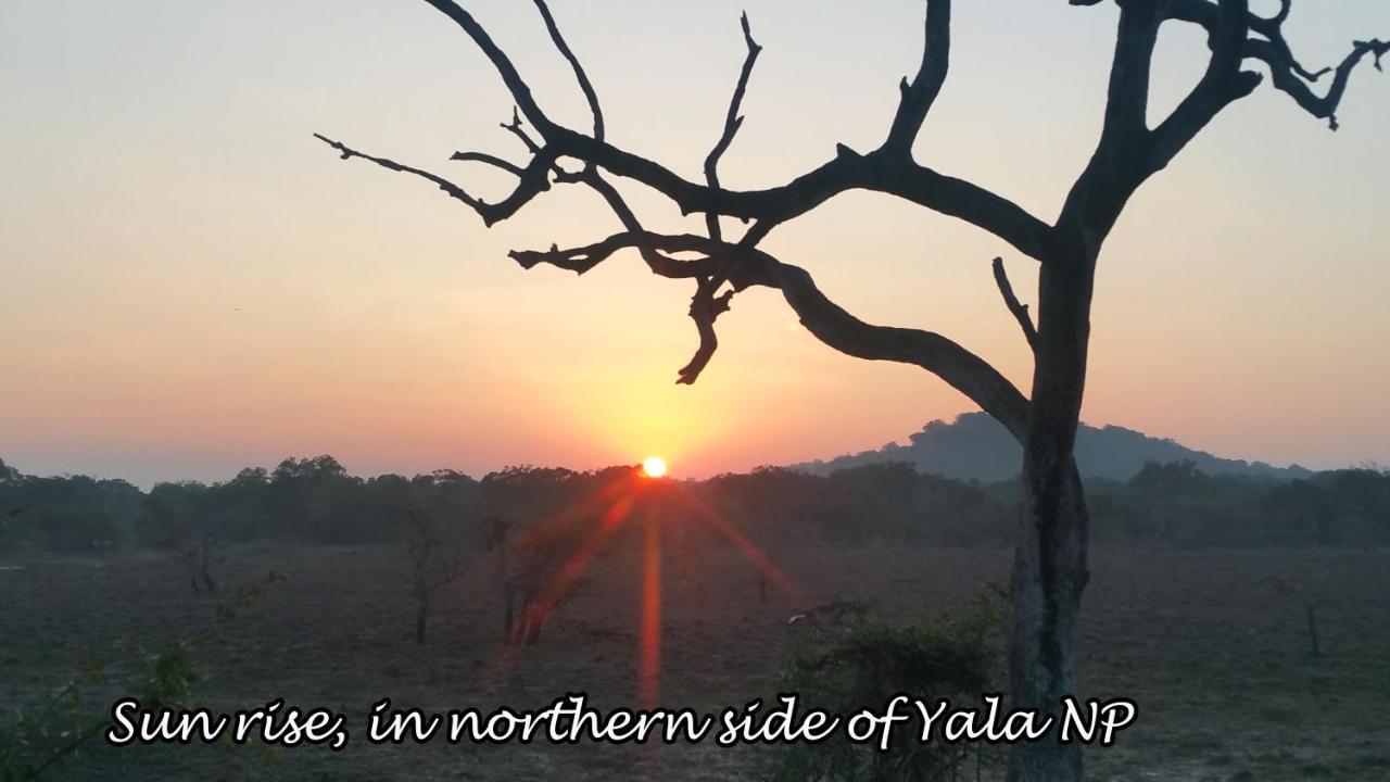 Yala Avian Eye Safari Apartment Buttala Exterior photo