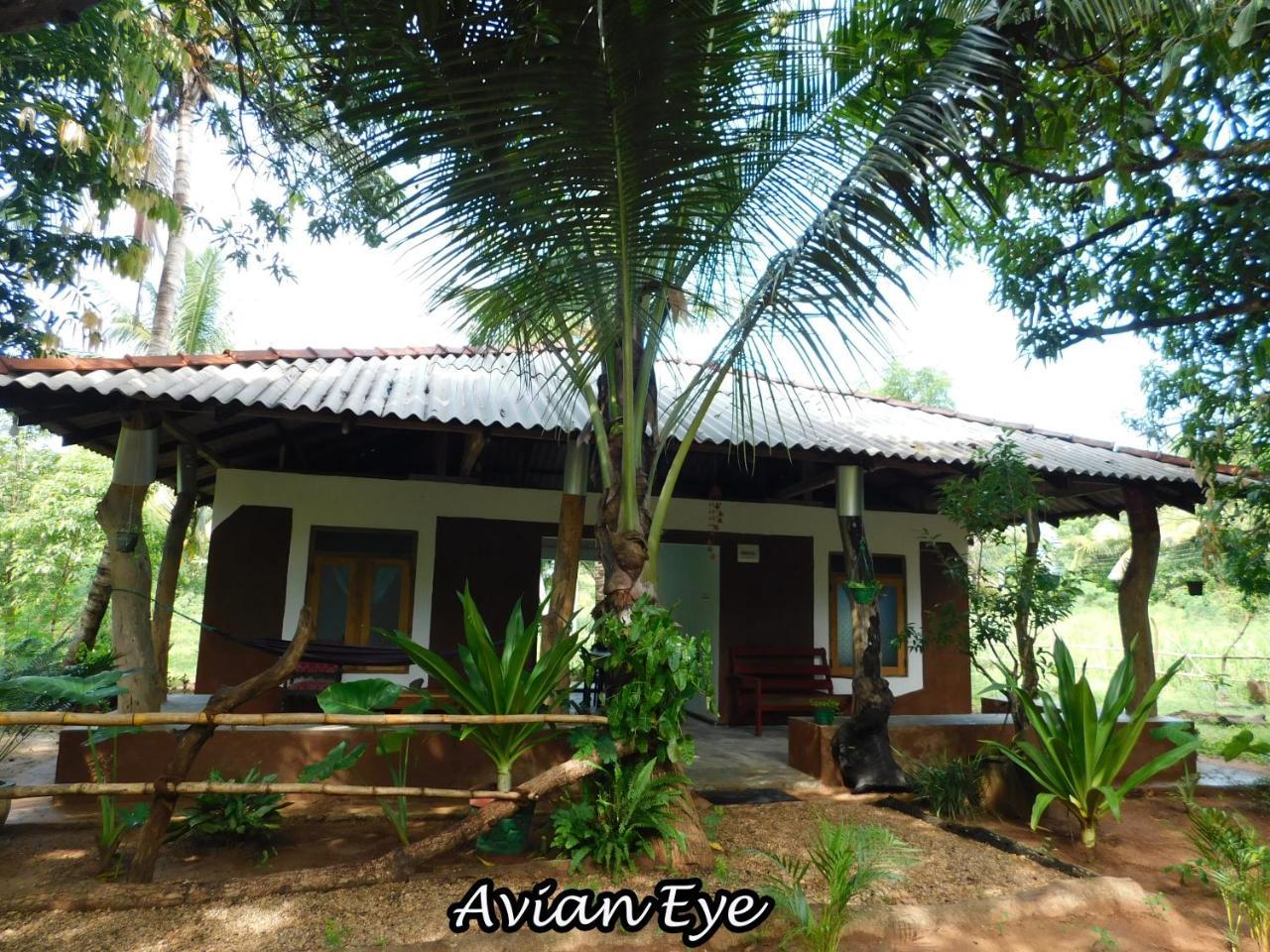 Yala Avian Eye Safari Apartment Buttala Exterior photo